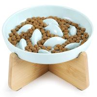 Ceramic Elevated Slow Feeder Cat Bowl
