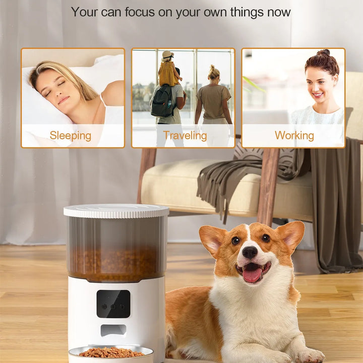 Dual Pet Smart Feeder