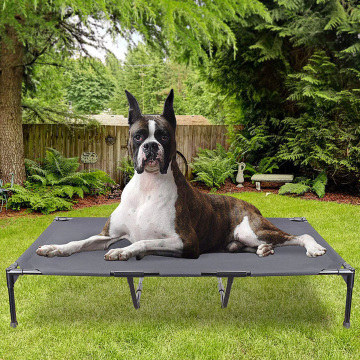 All-Weather Raised Dog Bed