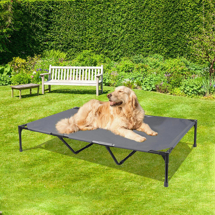 All-Weather Raised Dog Bed