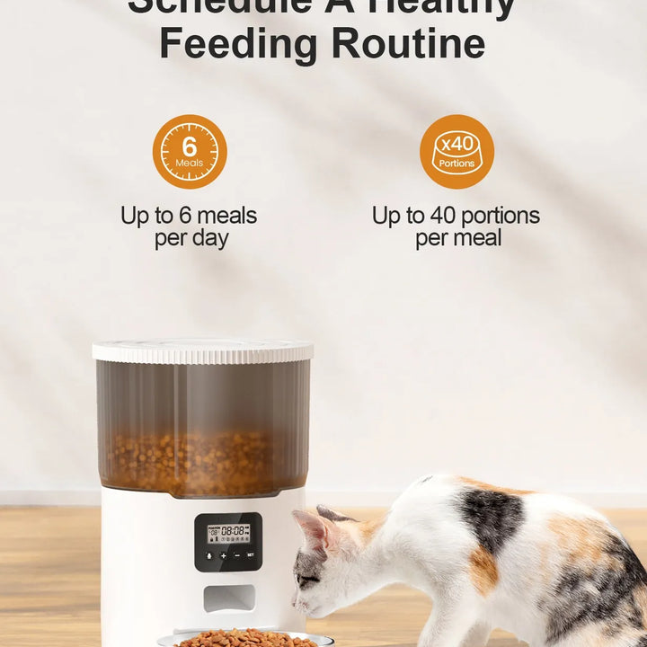 Dual Pet Smart Feeder