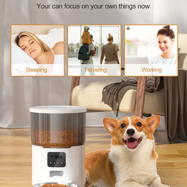 Dual Pet Smart Feeder